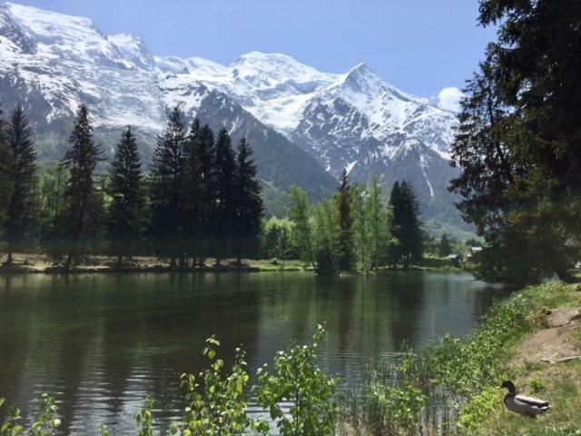 Apartamento Chamois Blanc Chamonix Mont Blanc Exterior foto