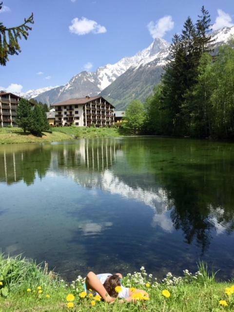 Apartamento Chamois Blanc Chamonix Mont Blanc Exterior foto